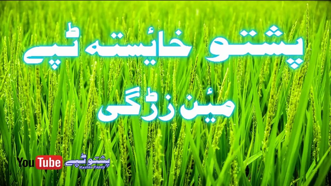 Pashto New Tapay 2016 Armani Biutiful Tappy Smart Nice Best Tapey 2016 new