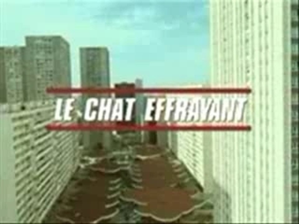 Parkour - David Belle - Nike Presto Cat