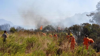 Tarladaki Ürünler Yangında Kül Oldu