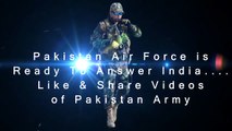 PAF Fighting Falcons - f16 pakistan zindabad