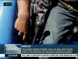 Denuncian abandono y olvido estatal al campo mexicano