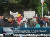 México: campesinos se movilizan en segundo día de protestas