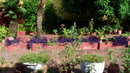 Roadtrip improbable - CUBA #16