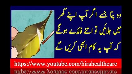 woh pata jise ager aap apne gher men jalaien to herat angez musbat nataij samne aien ge