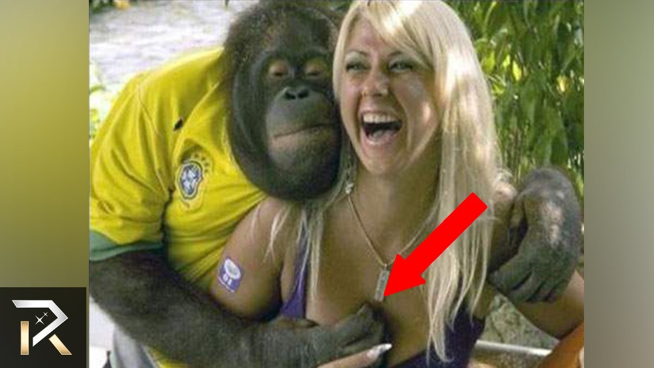 10 Most Inappropriate Animal Encounters!