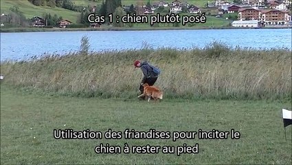 Tolling - Entraînement à la phase d'approche