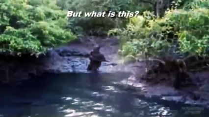 Strange ِCreature, Alien Caught on Tape, Most Amazing Paranormal Documentary 6