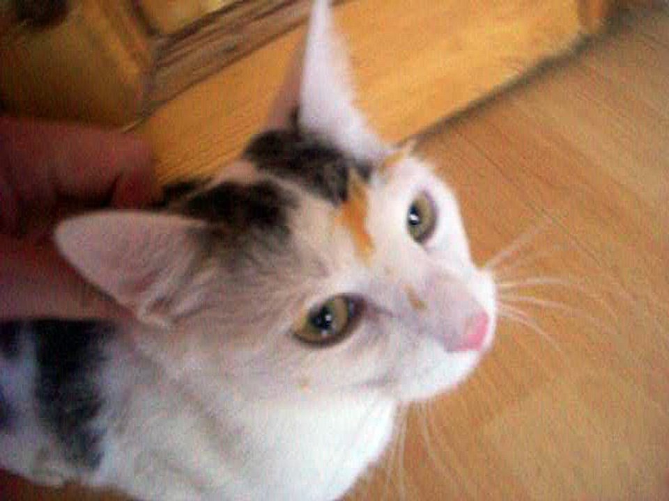 Vinzent am 15.10.2016