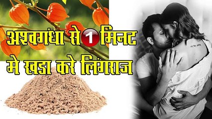 अश्वगंधा से १ मिनट में खड़ा करे लिंगराज -