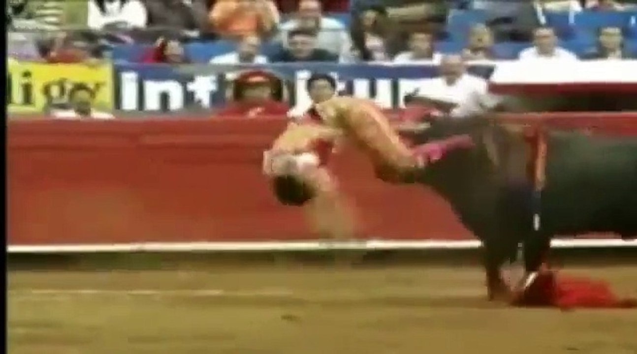 World's Most Amazing Videos - Animals Gone Wild.flv