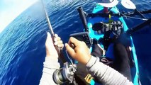Most Amazing Fishing Videos Ever Must Watch - Saltwater Fishing Report 2016