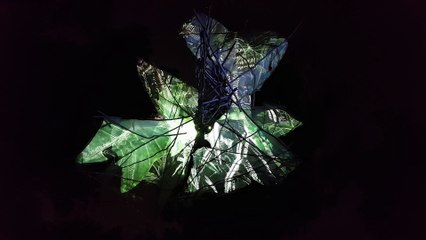 "Dron-list" Леонардо да Винчи - инсталляция в Праге