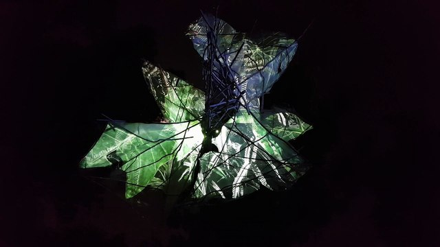 Dron-list Леонардо да Винчи - инсталляция в Праге