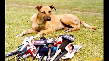 It happen only in India - Very funny ( Must Watch )