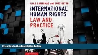 Big Deals  International Human Rights Law and Practice  Best Seller Books Best Seller