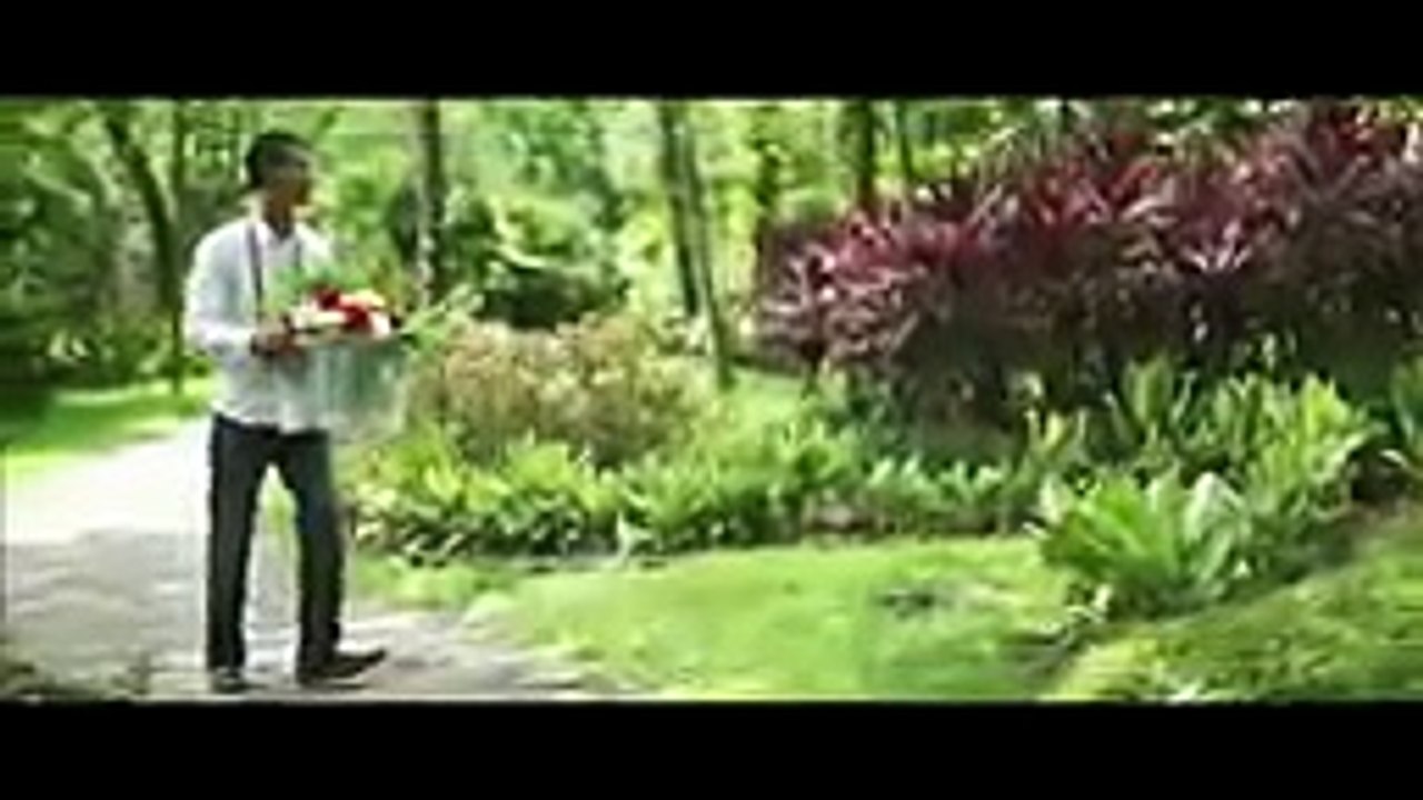 Syawal fiqa pre wedding video (pelamin fantasia)