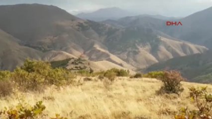 Bitlis'teki Operasyonda El Yapımı Patlayıcılar Imha Edildi