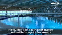 Rio prepares to open South America's largest aquarium