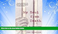 Big Deals  My Soul from Death: A Courtroom Resurrection  Best Seller Books Best Seller