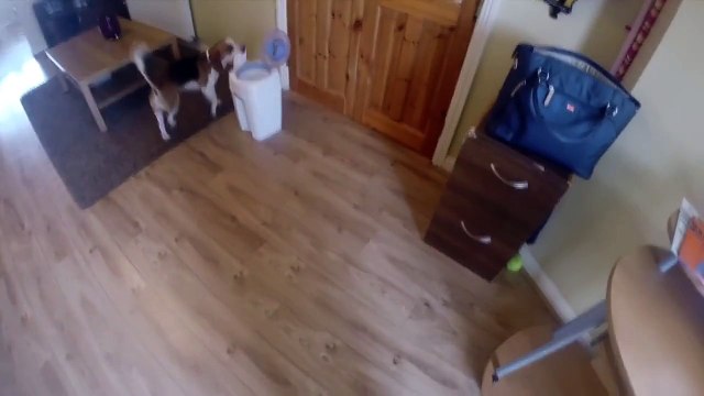 J'aurais aimé que Molly fasse ça!