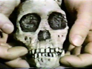 Evolution Homme 01x01