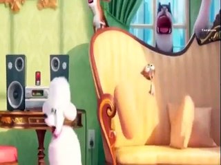 ☆BTS VINES PT 1☆