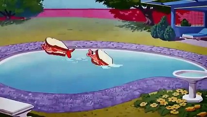 PLUTO CARTOON ! ( Puss Cafe )