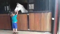 UN GARÇON FOND EN LARMES LORSQU'ON LUI OFFRE LE PONEY QU'IL DÉSIRE DEPUIS DES ANNÉES.