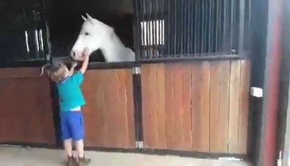 UN GARÇON FOND EN LARMES LORSQU'ON LUI OFFRE LE PONEY QU'IL DÉSIRE DEPUIS DES ANNÉES.