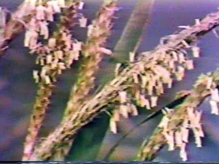 Evolution Homme 01x12