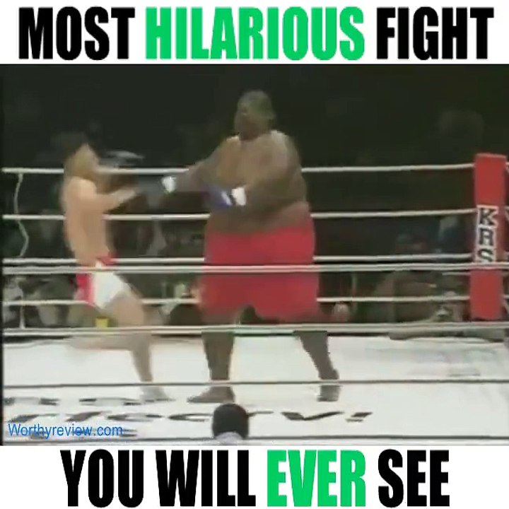 See Fight