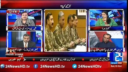 No Karachi like operation in Punjab, Shireen Mazari