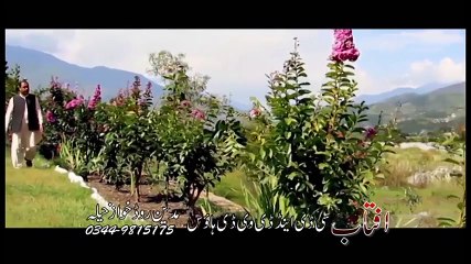Pashto New Songs 2016 Sayed Gul Yar Gul Pashto Song Lambozan
