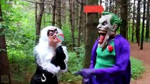 Spiderman _ Frozen Elsa vs Joker _ Black Cat! w_ Spidergirl Maleficent Bad Baby Hulk! Superhero Fun