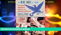 GET PDF  The Blue Eagle at Work: Reclaiming Democratic Rights in the American Workplace (Ilr Press