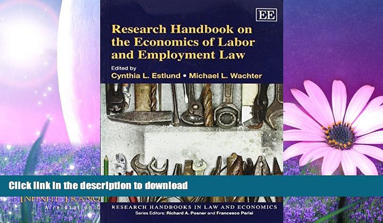EBOOK ONLINE  Research Handbook on the Economics of Labor and Employment Law (Research Handbooks