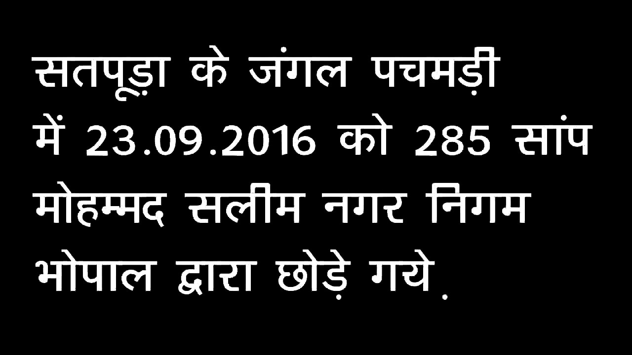 Weird and Crazy, Snake catcher releases hundreds of rat snakes, cobras and vipers into Indian forests
