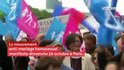 Quatre ans après, vous souvenez-vous de la Manif pour tous ?