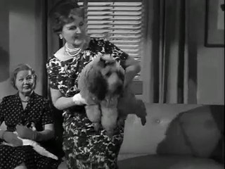 Mister Ed S3 | The Price of Apples