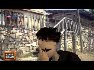 Kuklagiller - Damat Traşı