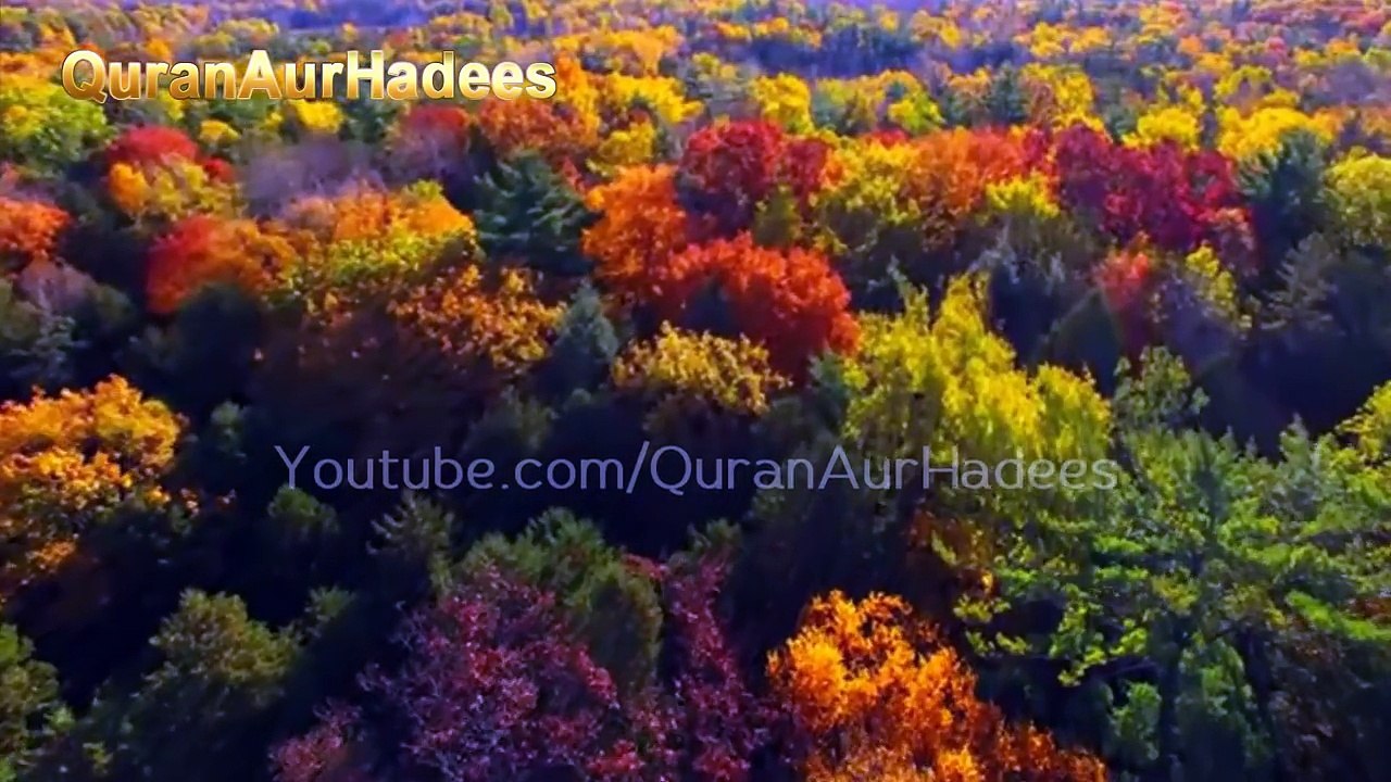 Moosa AS aur khizar AS Ke 3 Dilchasb Waqiat - 3 Interesting Events of Moses AS _ Khidr AS [URDU]