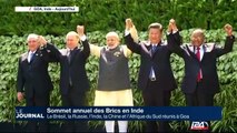 Sommet annuel des Brics en Inde