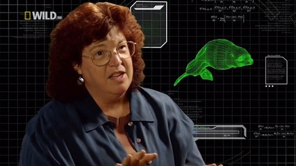 Суперхищники 2 серия из 6. Белый медведь / I, Predator (2010)