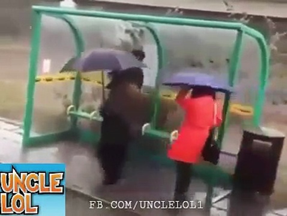 FUNNY (123)