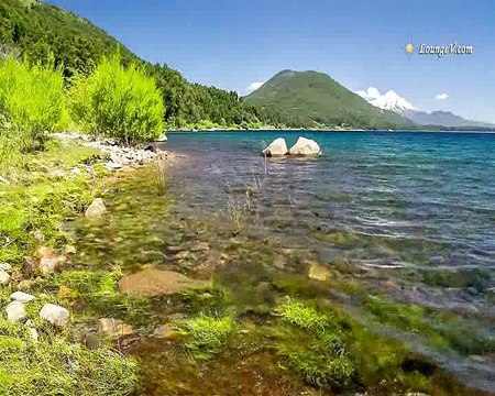 HALİMİZ AHVALİMİZ-EL VURUP YAREMİ İNCİTME TABİP