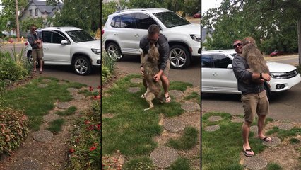 Ce chien retrouve son maître après 8mois d'absence.. Emouvant !