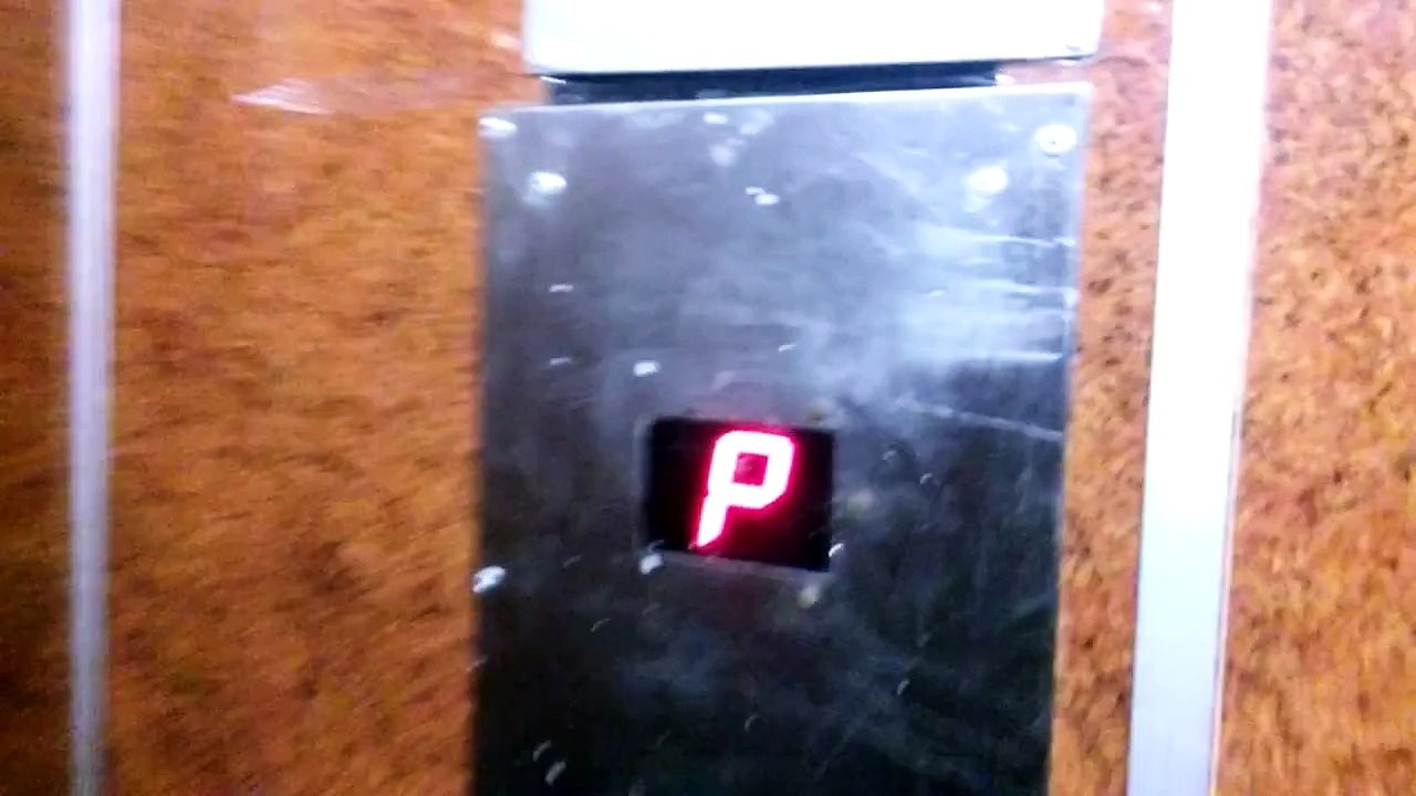 MOV_1804
