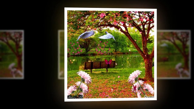 Deszcz i lzy -Blue Romantic