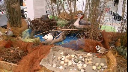 Le musée de Bastia se la joue scientifique …