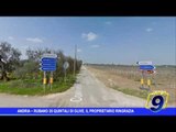 Andria |  Rubano 20 quintali di olive, il proprietario ringrazia per il 